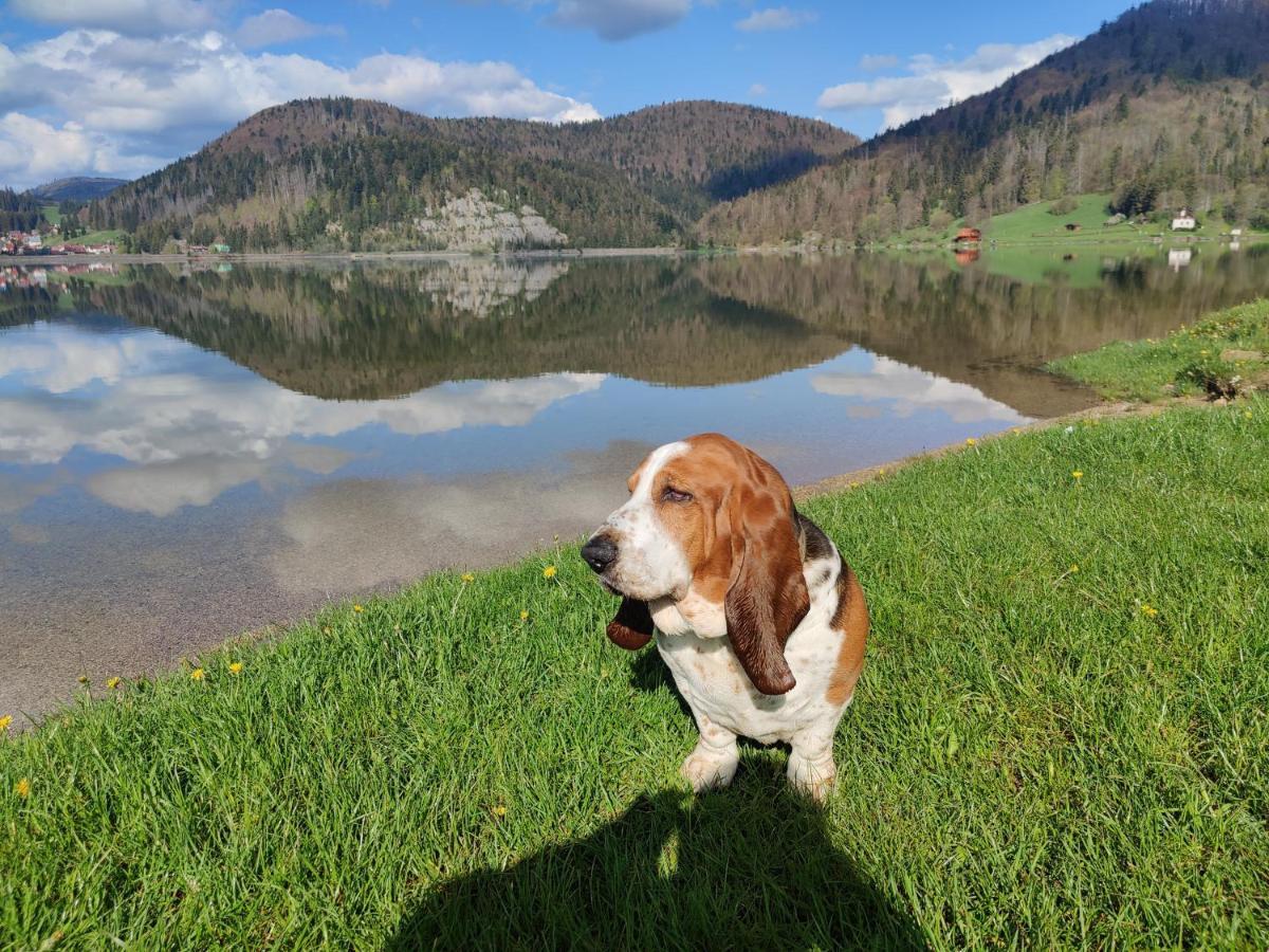 Chata Natasa Dedinky Exterior foto